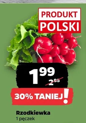 Rzodkiewka polska promocja w Netto