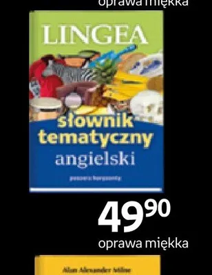 Książka Słownik tematyczny angielski Lingea promocja w Empik