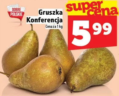 Gruszka Konferencja promocja w TOPAZ