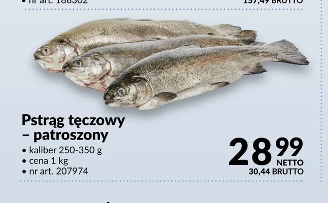 Pstrąg tęczowy patroszony promocja w Makro