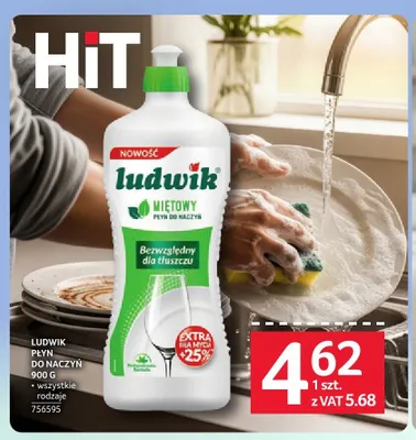 Płyn do naczyń Ludwik promocja w Selgros