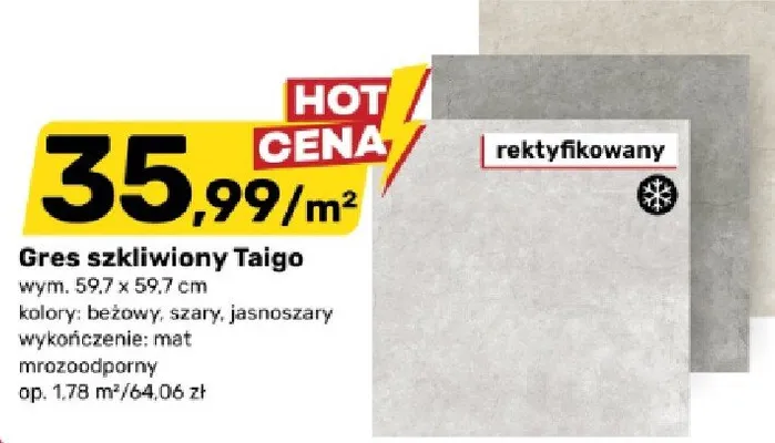 Gres szkliwiony Taigo rektyfikowany 59,7x59,7cm kolor jasnoszary promocja w Bricomarche