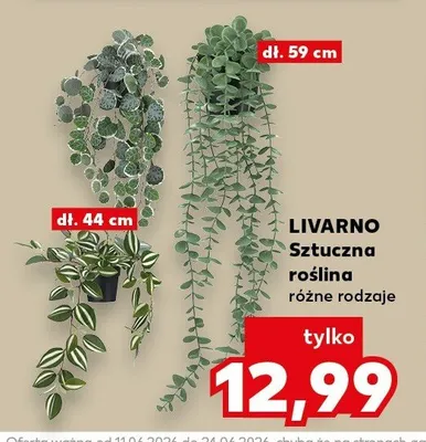 Sztuczna roślina Livarno promocja w Kaufland