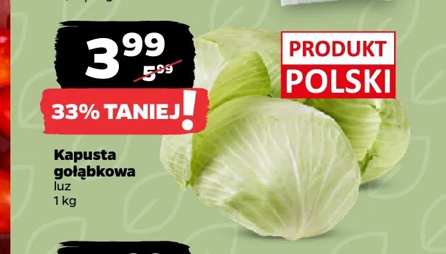 Kapusta gołąbkowa promocja w Netto