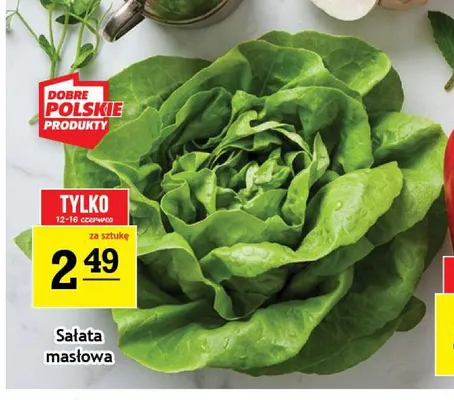 Sałata masłowa promocja w Gram Market