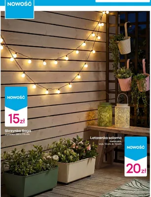 Skrzynka Saga promocja w Pepco