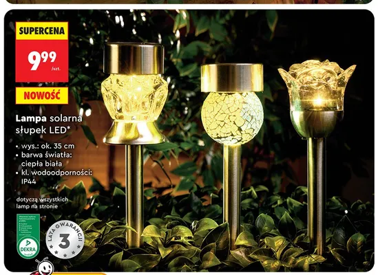 Lampa solarna słupek LED wys. ok. 35cm IP44 promocja w Biedronka
