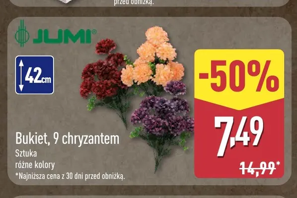 Bukiet 9 chryzantem Jumi 42 cm promocja w Aldi
