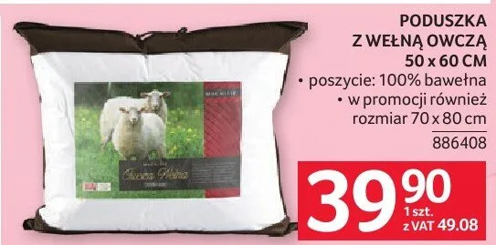 Poduszka z wełną owczą 50 x 60 cm promocja w Selgros