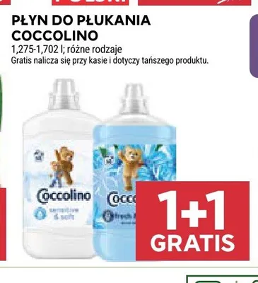 Płyn do płukania Coccolino Sensitive promocja w Stokrotka