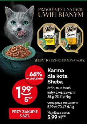 Karma dla kota drób, mus łosoś, indyk z warzywami promocja w Żabka