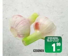 Czosnek promocja w Tomi Markt