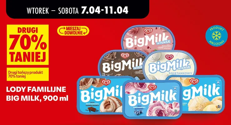 Lody familijne 900 ml wszystkie rodzaje promocja w Biedronka