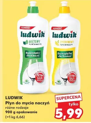 Płyn do mycia naczyń różne rodzaje promocja w Kaufland