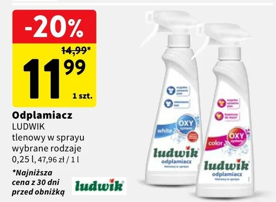 Odplamiacz tlenowy w sprayu promocja w Intermarche