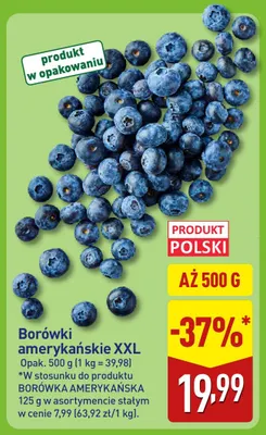 Borówki amerykańskie XXL promocja w Aldi