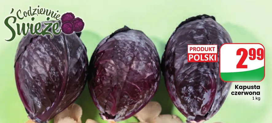 Kapusta czerwona promocja w Dino