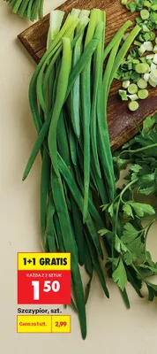 Szczypior promocja w Biedronka