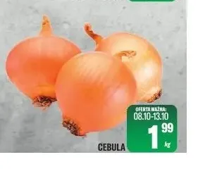 Cebula promocja w Tomi Markt