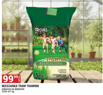 Mieszanka traw Trawnik Rekreacyjny odporna na deptanie promocja w Merkury Market