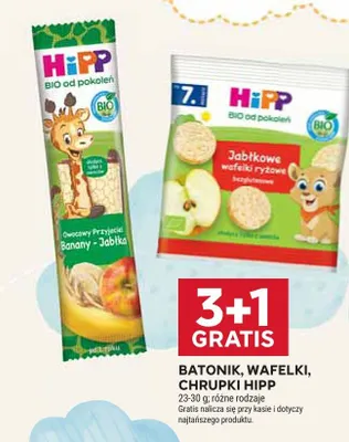 Batonik owocowy HiPP Owocowy Przyjaciel Banany-Jabłka promocja w Stokrotka