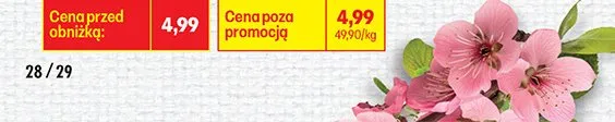 Od poniedziałku, strona 41 promocja w Biedronka