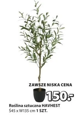 Roślina sztuczna HAVHEST promocja w Jysk