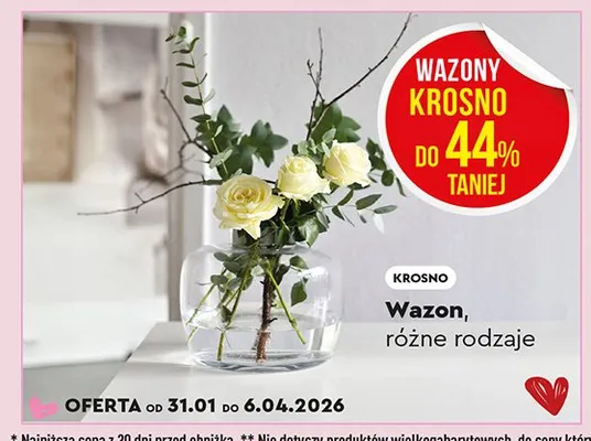Wazon, różne rodzaje promocja w Biedronka Home