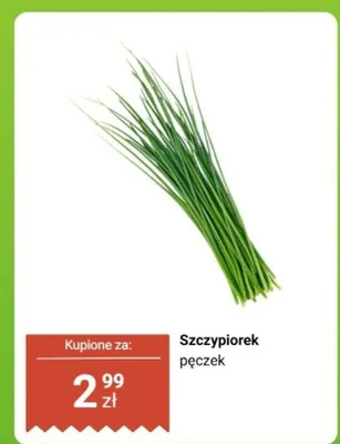 Szczypiorek, pęczek promocja w Biedronka