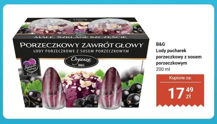 Lody pucharek porzeczkowy z sosem porzeczkowym B&G Organza promocja w Dino