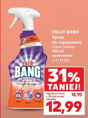 Spray do czyszczenia różne rodzaje promocja w Kaufland