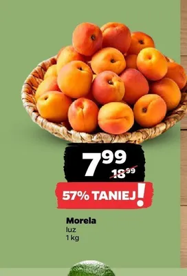 Morela luz promocja w Netto