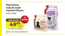 Mata do nauki czystości dla psa Dog Fantasy promocja w Super Zoo