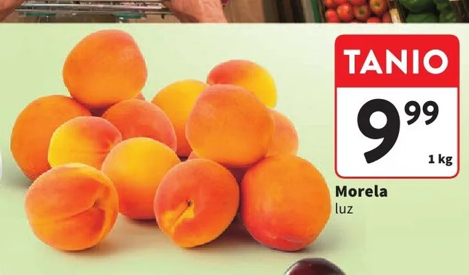 Morela luz promocja w Intermarche