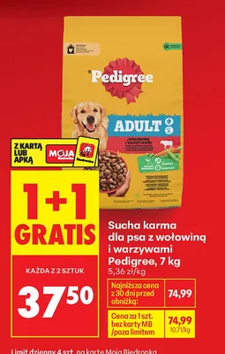 Sucha karma dla psa z wołowiną i warzywami Pedigree Adult promocja w Biedronka