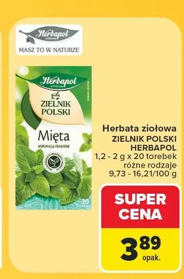 Herbata ziołowa Herbapol Zielnik Polski Mięta promocja w Carrefour