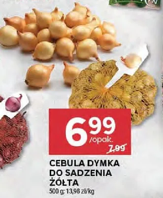 Cebula dymka żółta do sadzenia promocja w Stokrotka