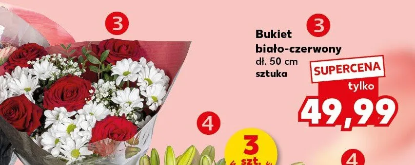 Bukiet biało-czerwony dł. 50cm promocja w Kaufland
