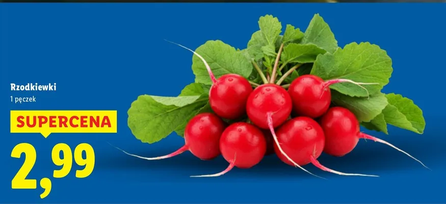 Rzodkiewki promocja w Lidl