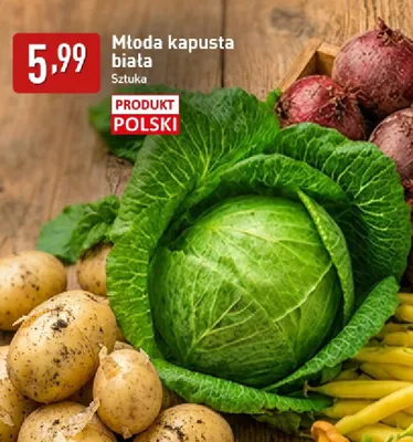 Kapusta biała młoda polska promocja w Aldi