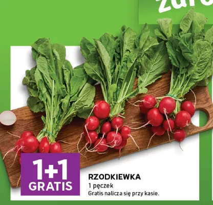 Rzodkiewka promocja w Stokrotka