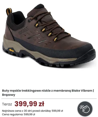 Buty męskie trekkingowe niskie z membraną Regatta Blake Vibram brązowe promocja w Regatta