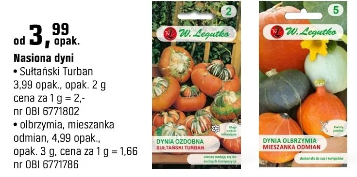 Nasiona dyni Sułtański Turban promocja w OBI