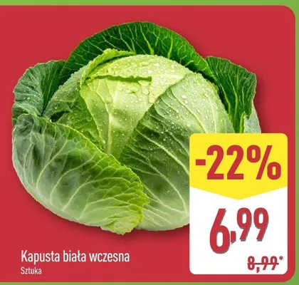 Kapusta biała wczesna promocja w Aldi