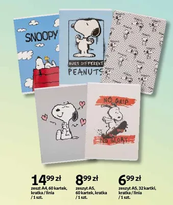 Zeszyt A4 Peanuts 60 kartek linia promocja w Empik