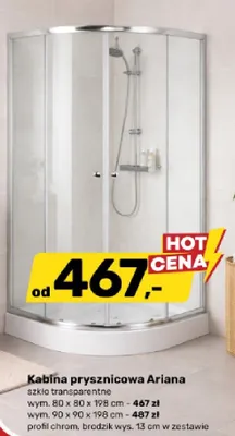 Kabina prysznicowa Ariana promocja w Bricomarche