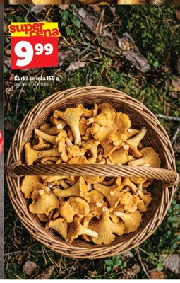 Kurki świeże promocja w TOPAZ