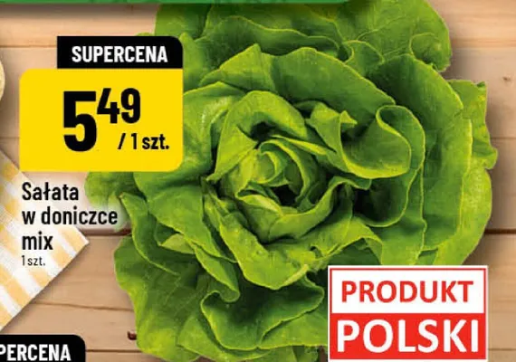 Sałata w doniczce mix promocja w POLOmarket