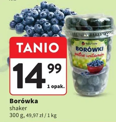 Borówka shaker promocja w Intermarche