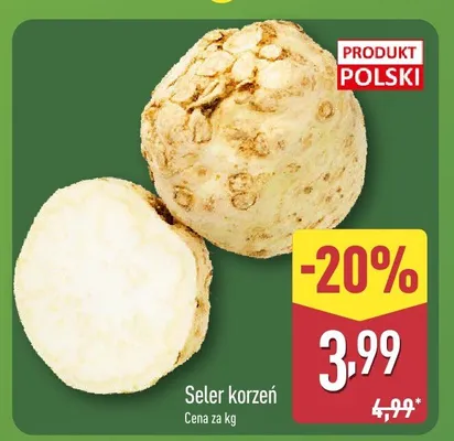Seler korzeń promocja w Aldi